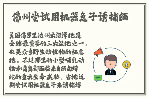 美国ZOOM人狗APP一欢迎你